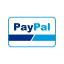 Online payment,Online transaction,Payment method,Paypal
